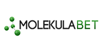 Molekulabet